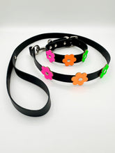 Black and Neon Dog Collar