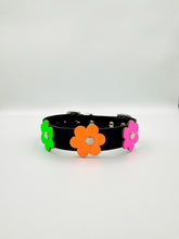 Black and Neon Dog Collar