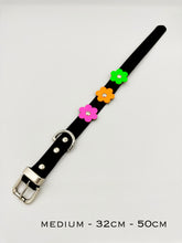Black and Neon Dog Collar