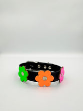Black and Neon Dog Collar