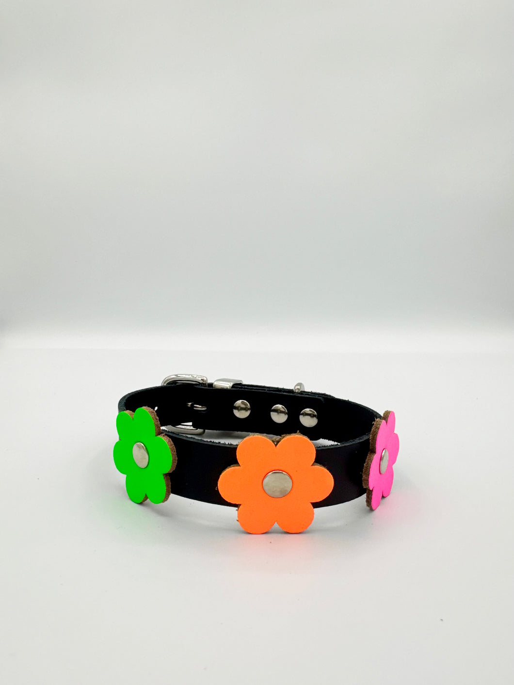 Black and Neon Dog Collar