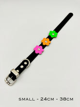Black and Neon Dog Collar