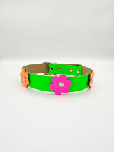 Neon Green Dog Collar