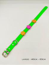 Neon Green Dog Collar