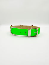 Neon Green Dog Collar