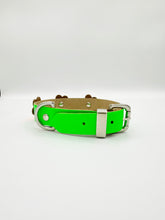 Neon Green Dog Collar