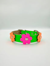 Neon Green Dog Collar