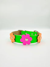 Neon Green Dog Collar