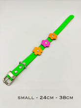 Neon Green Dog Collar