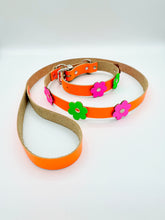 Neon Orange Dog Collar