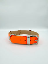 Neon Orange Dog Collar