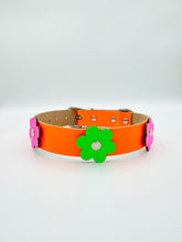 Neon Orange Dog Collar