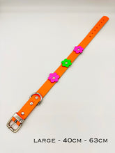 Neon Orange Dog Collar