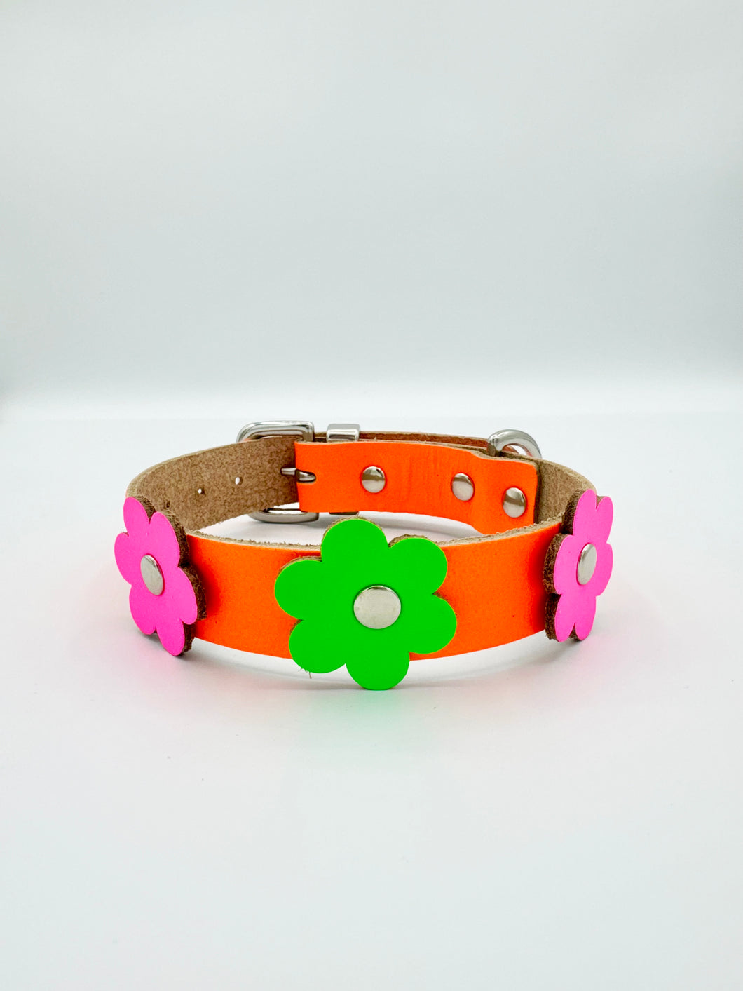 Neon Orange Dog Collar