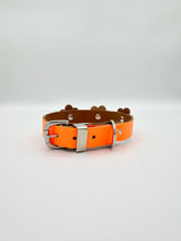 Neon Orange Dog Collar