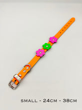 Neon Orange Dog Collar