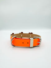Neon Orange Dog Collar