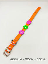 Neon Orange Dog Collar